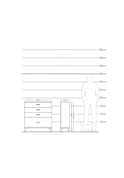 Arges Şifonyer 4 Çekmeceli 88x30x96 Çam-antrasit Çam