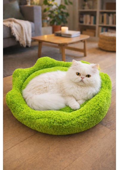 Çiçek Kedi Yatağı