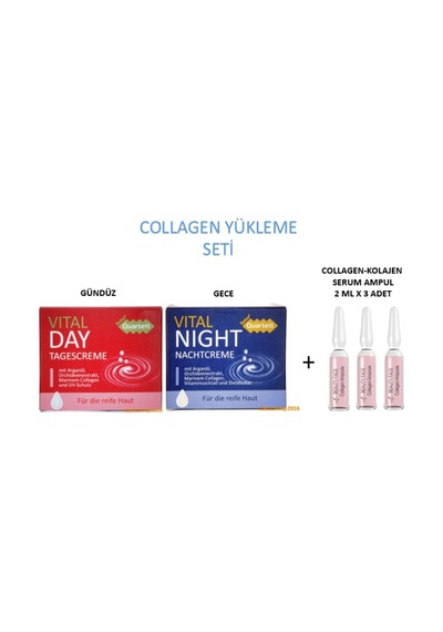 Gündüz + Gece Kremi + Collagen Ampul Kolajen Yükleme Seti