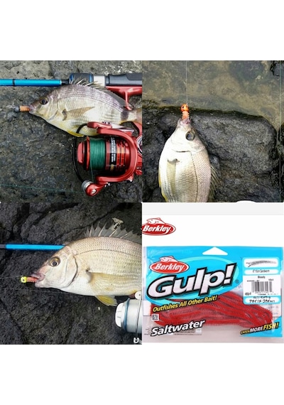 Berkley Gulp Saltwater Sandworm Kokulu Lrf Silikon Yem