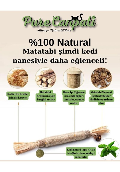 Purecanpati Kedi Naneli Matatabi Çubuğu, Doğal, Gerginlik Azaltıcı, Diş Sağlığına Katkı 2 Adet