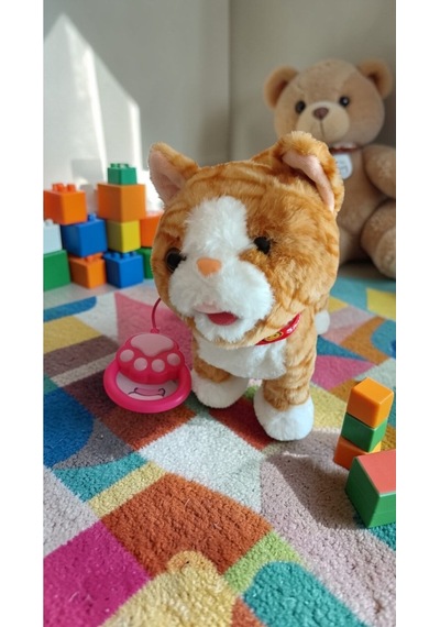 Tasmalı Ses Kayıt Eden Kafa Okşayınca Miyav Kuyruk Salllayan Müzik İile Yürür Büyükboy :30cm Pilli Çok Renkli
