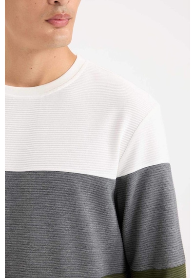 DeFacto Regular Fit Bisiklet Yaka Renk Bloklu Jakarlı Sweatshirt D5393AX24AUGN351