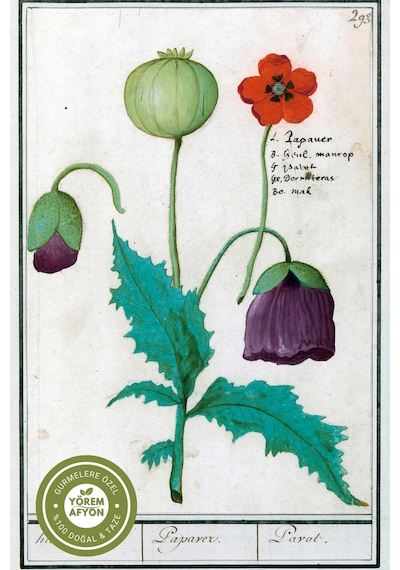 Afyon Yöresinde Geleneksel Hamur İşlerinin Sırrı Saf Tane Mavi Haşhaş Papaver Somniferum 250gr.