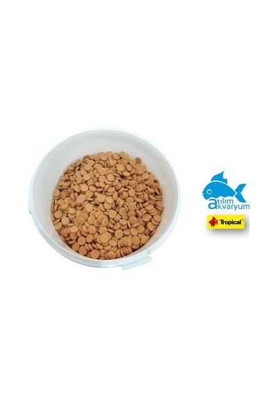 Akvaryum Balıkları İçin Cama Yapışan Tablet Yem 100 Adet 40 Gram