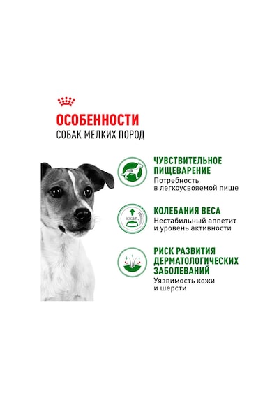 Royal Canin Mini Soğuk Mama, 85 Gr, 10'lu Paket Küçük Irklar İçin 250845775