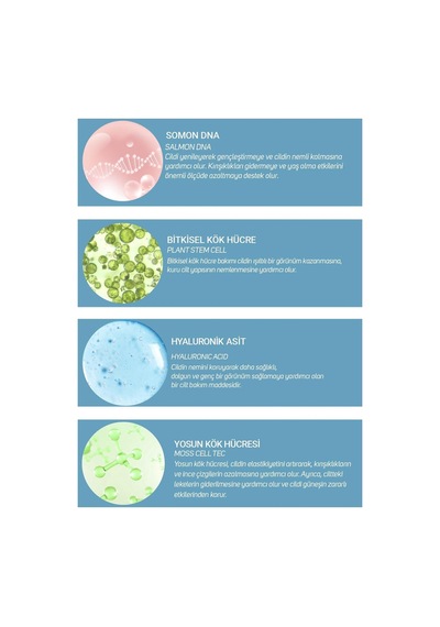 Clinic Lab Bitkisel Kök Hücre ve Somon Dna Cilt Serumu 50 ML