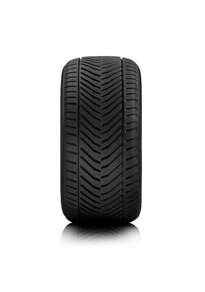 Riken 225/45R18 95Y XL All Season Dört Mevsim Lastiği -  2026