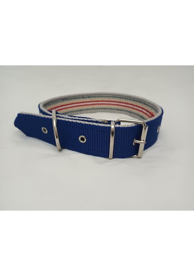 Kozaklı Köpek Tasması Mavi 70 x 4 CM Mavi