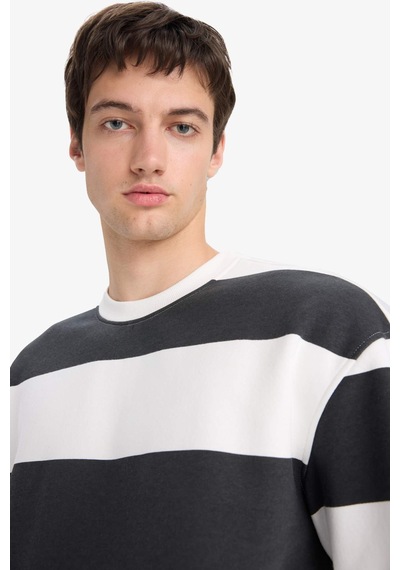 Defacto Boxy Fit Bisiklet Yaka Çizgili Sweatshirt A9066ax25auar104 Antrasit