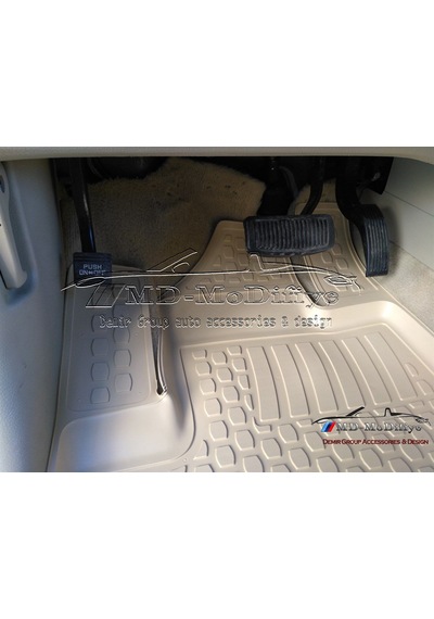 Hyundai Santa Fe Bej 3D Havuzlu Paspas. 2012-