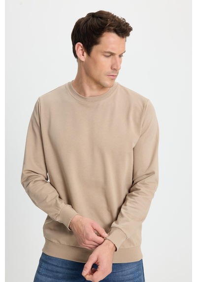 Tudors Erkek Relax Fit Rahat Kesim %100 Pamuk 2 İplik Bisiklet Yaka Taş Sweatshirt -41524 Taş