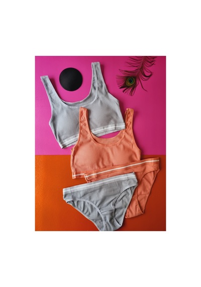 Demirsa Boutique Kaşkorse Kumaş 2'li Gül Kurusu Ve Mavi&gri Renk Pedli Sütyen Külot Takım Gülkurusu-mavi&gri Demirsa Boutique Kaşkorse Kumaş 2'li Gül Kurusu Ve Mavi&gri Renk Pedli Sütyen Külot Takım Gülkurusu-mavi&gri