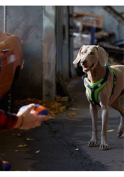 Joyser Active Rugby Köpek Oyuncağı Jys-7069