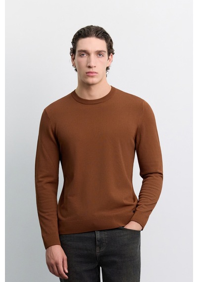 Avva Erkek Kiremit Bisiklet Yaka Rayon Karışımlı Regular Fit Kazak B005026