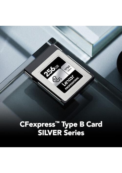 Lexar LCXEXSL256G-RNENG 256 GB Gümüş Serisi Cfexpress Type B Hafıza Kartı