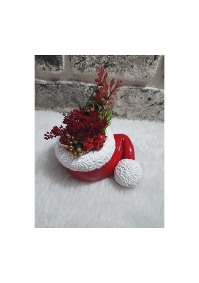 El Yapımı Sukulent Saksı Noel Baba Şapkası/noel Baba Şapka Sükülent Çiçekli Saksı.