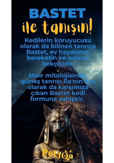 Petjoo 1.Bastet Sarı-Mavi Qr'lı Kedi Künyesi