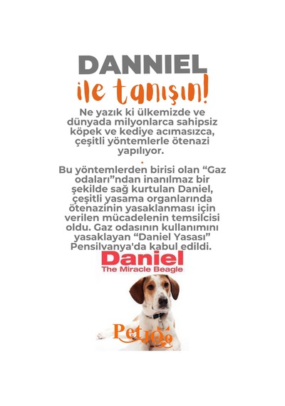 Petjoo 21.Danniel Turuncu-Gri Qr'lı Köpek Künyesi