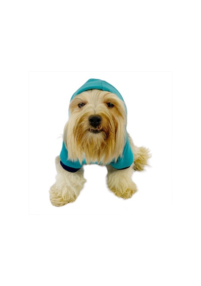 Kemique Team Sweatshirt Köpek Kıyafeti Köpek Elbisesi Kemique Team Sweatshirt Köpek Kıyafeti Köpek Elbisesi