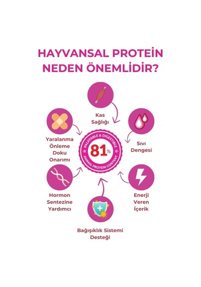 Legend Kuru Köpek Maması, Kuzu Etli, Düşük Tahıllı, Yüksek Proteinli, Yetişkin Köpek Mama, Büyük Taneli, 12k