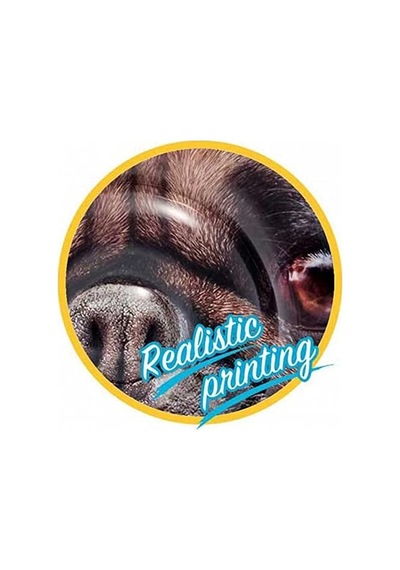 Badeinsel Pug - 57858324576023899215506 1 Parça