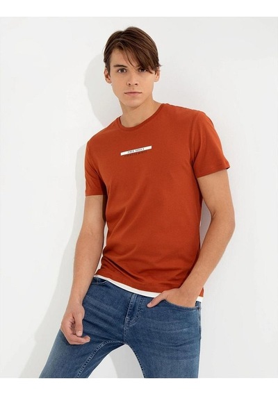 Pierre Cardin Bakır Slim Fit Bisiklet Yaka T-shirt Çok Renkli