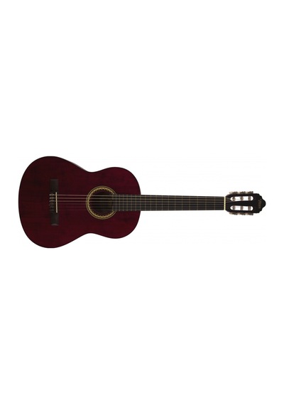 Valencia Vc204Twr Klasik Gitar Kılıf Pena