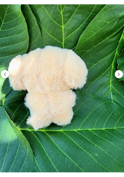 Pepikon Enhypen Skzoo Kpop Peluş Oyuncak 10 Cm Anahtarlık Süpriz Hediyeli Açık Kahverengi