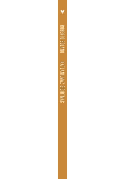 Katlanılmaz Sığırtmaç Roberto Bolano  - Can Yayınları