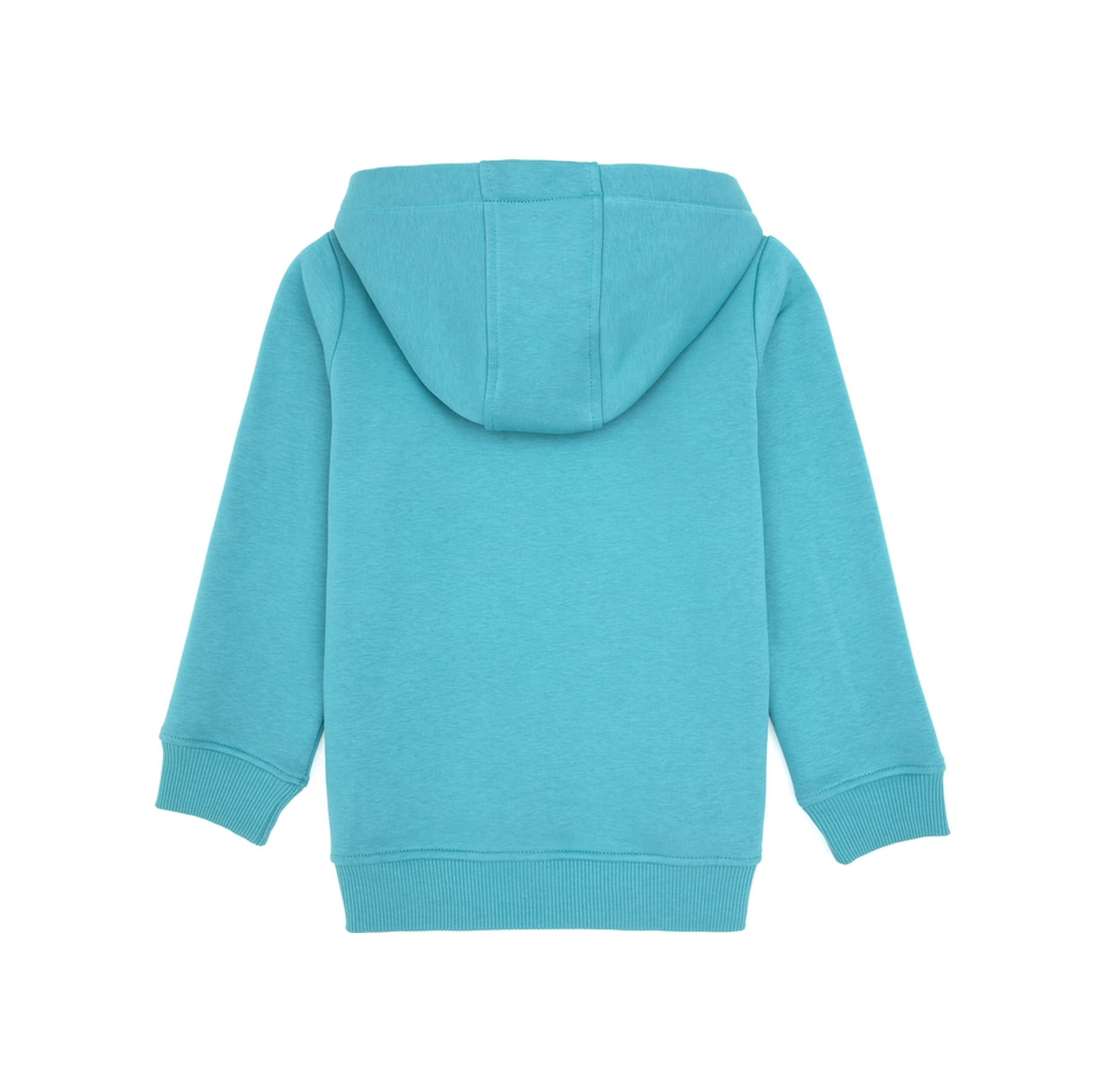 U.S. Polo Assn. Erkek Çocuk Mint Kapüşonlu Basic Sweatshirt 50313808-VR152