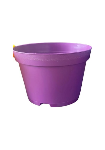 Katı Plastik Sukulent Saksısı 5 Adet Koyu Mor 8.5 Cm