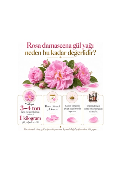 Akita Yüksek Frekans Doğal Gül Yağı Roll-on 1 ML