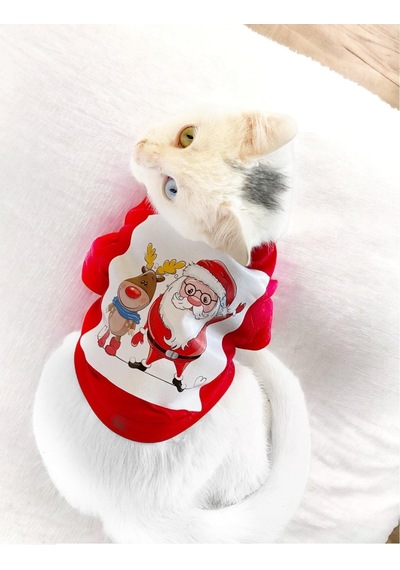 Kemique Santa And Friend Rudolph Kedi Tişörtü Yılbaşı Noel Christmas Kedi Elbisesi
