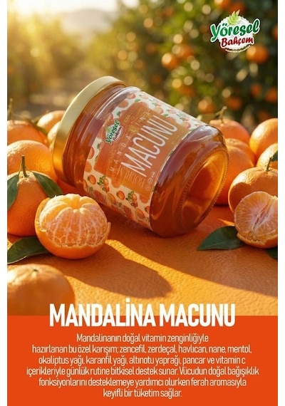 Yöresel Bahçem Bodrum Mandalina Macunu