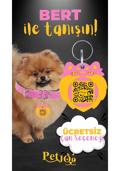 Petjoo 13.Bert Sarı-Pembe Qr'lı Köpek Künyesi