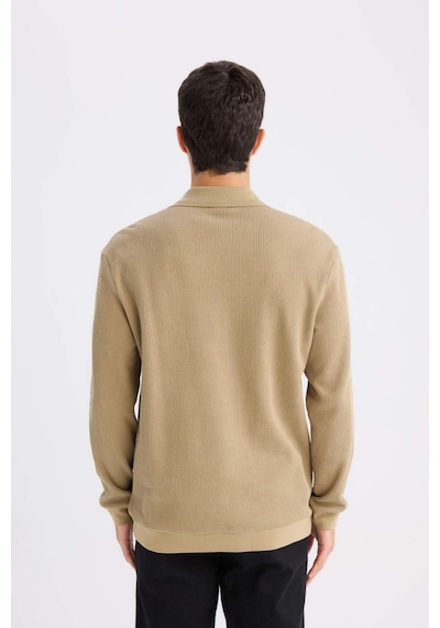 DeFacto Regular Fit Polo Yaka Sweatshirt D7448AX25SPKH185