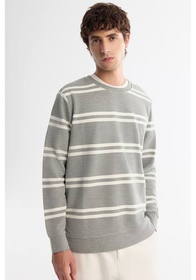 Avva Erkek Gri Bisiklet Yaka Çizgili Elastan Regular Fit Sweatshirt A42y1292