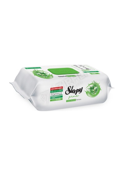 2 Adet Sleepy Yüzey Temizlik Havlusu Çam Ferahlığı 100'lü Diğer 43454779