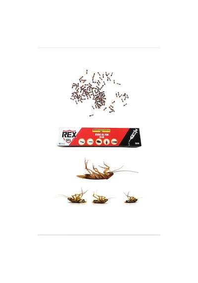 Rex Çok Etkili Hamamböceği Ve Karınca Jel Yem 20 G