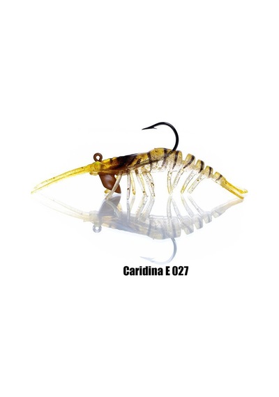 Pandora Caridina E027