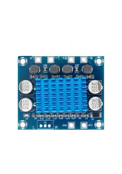 Robodünya-2 X 30 Watt Tpa3110 Çipli 8-26V Dijital Anfi Devresi Amplifikatör