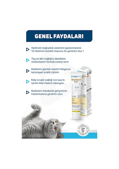 Onevet Multi Vitamin Paste Kedi Maltı 100 Gr