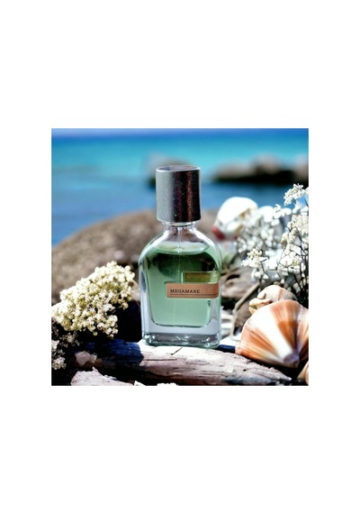 Megamare 50 Ml Unisex Parfüm Edp Diğer