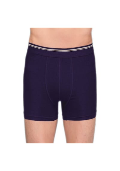 Berrak 1097 Erkek Boxer Lacivert