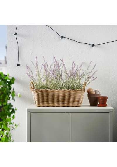 Flodbjörk Kahverengi 54x21 Cm Çiçeklik - 60612059 Ikea