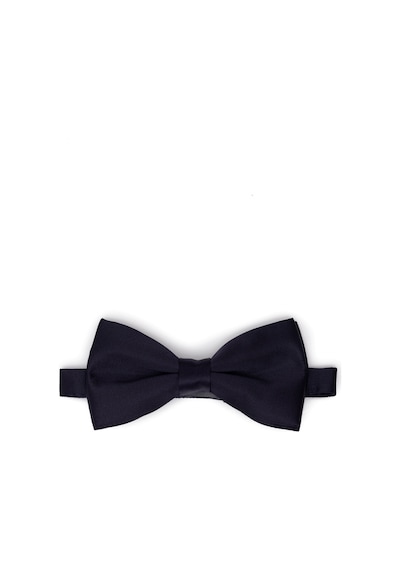 Pierre Cardin Erkek Lacivert Papyon 50262525-200 Lacivert