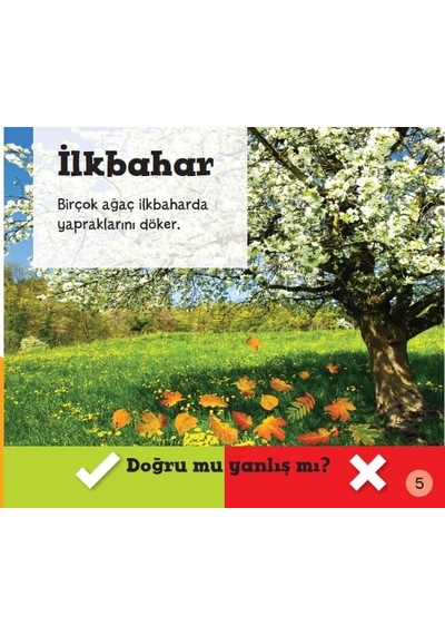 Doğru Mu Yanlış Mı - Mevsimler