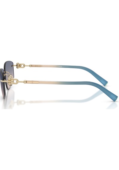 Tf 3114 619116 59 Tiffany & Co. Güneş Gözlüğü Siyah