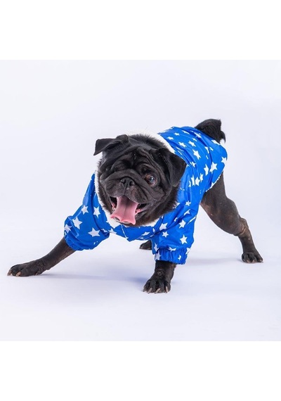 Pawstar Mavi Stars Yağmurluk Küçük Ve Orta Irk-20196